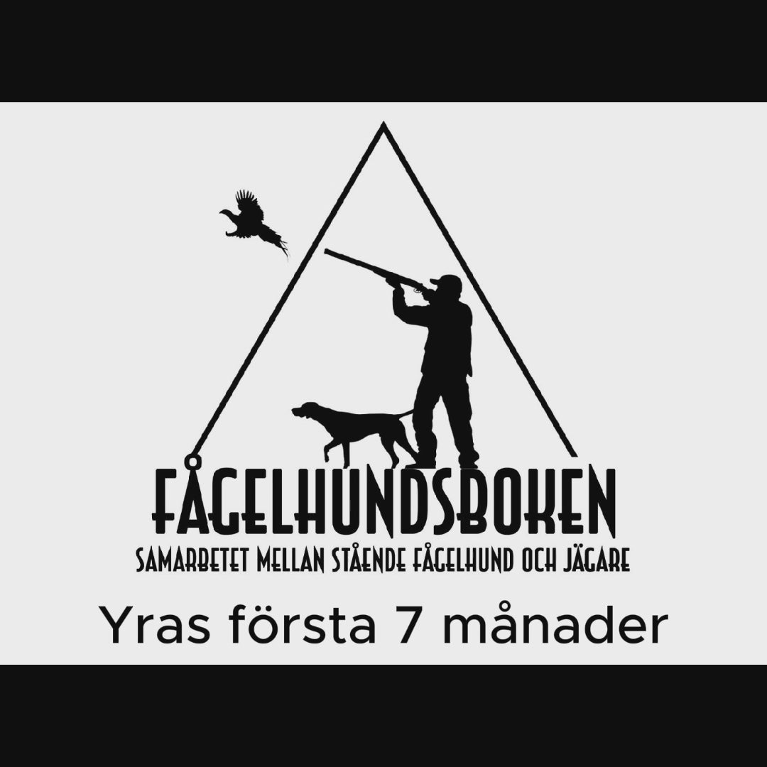 Ladda video: 