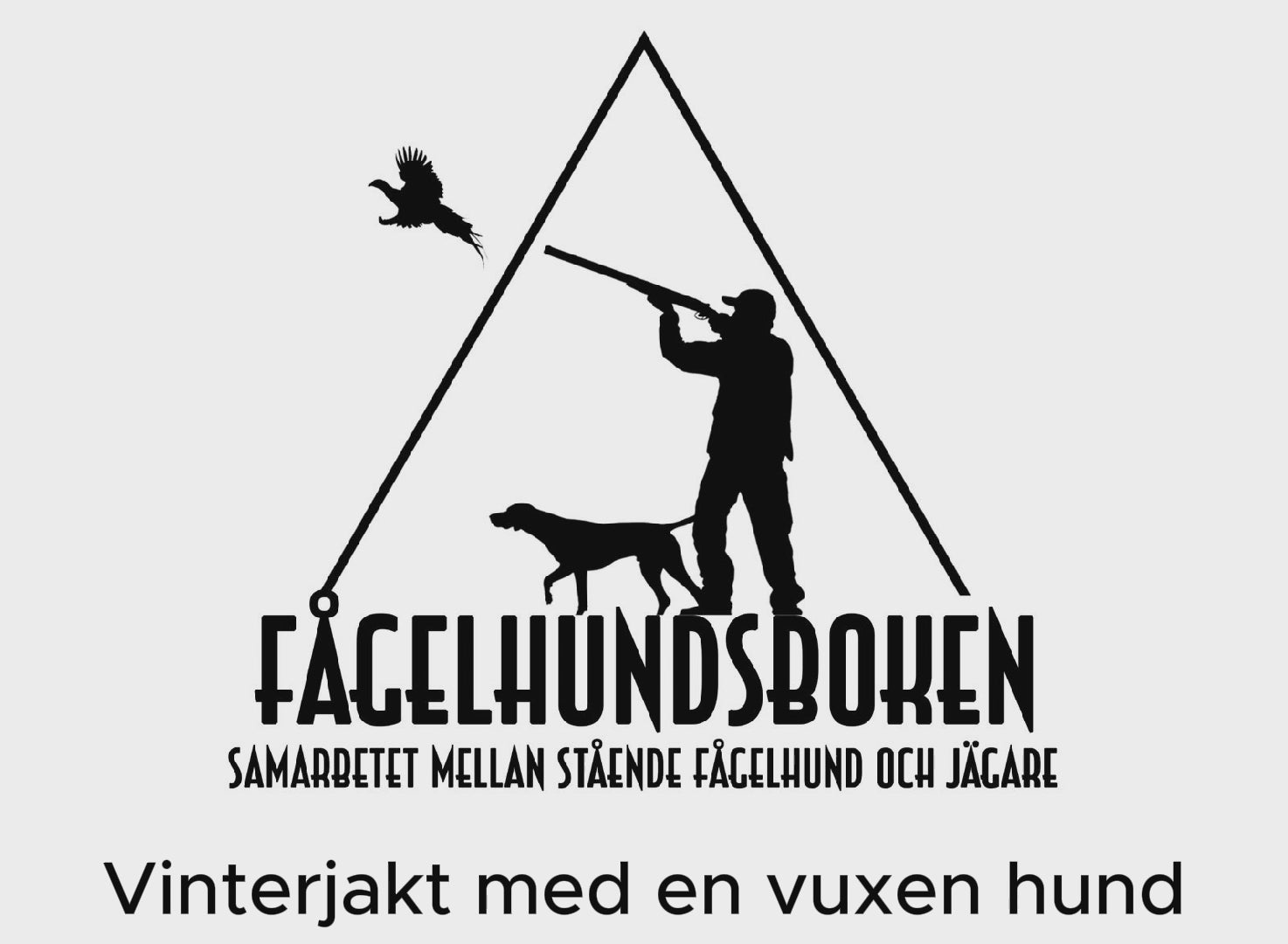 Ladda video: 
